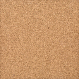 School - Scrapbook Papier – 12 Vellen 6x6 inch Schoolthema