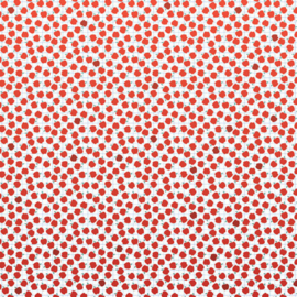 School - Scrapbook Papier – 12 Vellen 6x6 inch Schoolthema