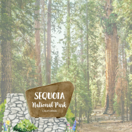 Sequoia National Park / California - dubbelzijdig scrapbook papier