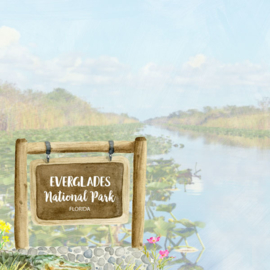 Everglades National Park / Florida - dubbelzijdig scrapbook papier