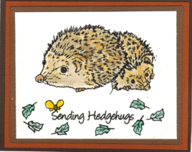 Egeltjes / Hedgehogs - clear stempelset - 9,5 x 20,5 cm