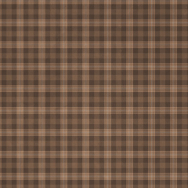 Tennessee Scrapbookpapier 6x6 inch – 12 Vellen met Muziek- & Reisthema