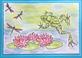Kikkers / Frogs - dieren stempels 16 delige set  - Verpakking 15 x 20 centimeter