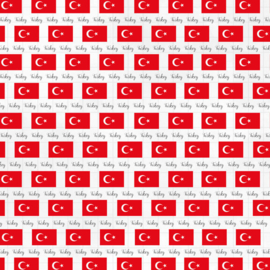 Scrapbook Papier Turkije – Dubbelzijdig met Kaart en Vlag 30.5 x 30.5 cm