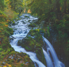 Yosemite / waterval NP - dubbelzijdig scrappapier 30.5 x 30.5 cm