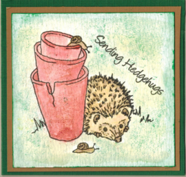 Egeltjes / Hedgehogs - clear stempelset - 9,5 x 20,5 cm