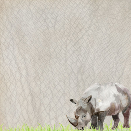 Neushoorn / Rhino -  watercolor - 30.5x30.5 cm - dubbelzijdig scrapbookpapier