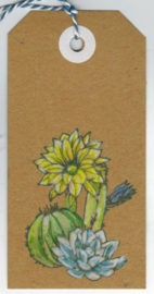 Cactussen & Succulenten Stempelset (10x14cm) - Creatief Kaarten Maken