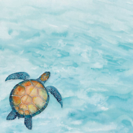 Zeeschildpad / Sea Turtle - dubbelzijdig scrapbook papier 30.5 x 30.5 cm