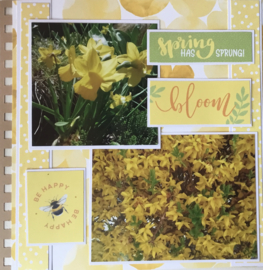 8 x 8 Inch klein spiraal scrapbook album met Kraft papier en Messing kleur ring 40 pagina's