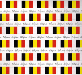 België - Avontuurlijke dubbelzijdig bedrukt 12x12 inch Scrapbookpapier
