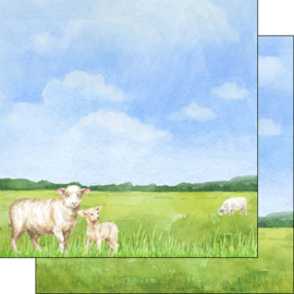 Schaap / sheep -  watercolor - 30.5x30.5 cm - scrapbookpapier