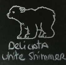 Witte stempelinkt Delicata White Shimmer pigment stempelinkt (3,5x5 cm)