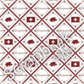 Switserland - Discover - thema papier - 30.5 x 30.5 cm