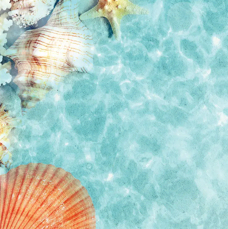 Zandstrand/schelpen - Dubbelzijdig Scrapbook Papier (30.5 x 30.5 cm)