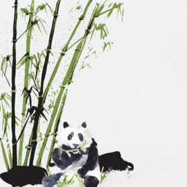 Panda 30.5x30.5 cm dubbelzijdig scrapbookpapier