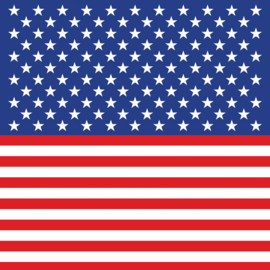 Vlag United States of America Memories Map - scrapbook papier 30.5 x 30.5 cm