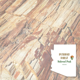 Petrified Forest National Park / Arizona - dubbelzijdig scrapbookpapier