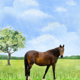 Horse / paard - watercolor - 30.5x30.5 cm - dubbelzijdig scrapbookpapier