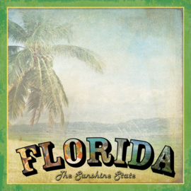 Florida Vintage  met palmboom - scrapbooking papier 12x12 inch