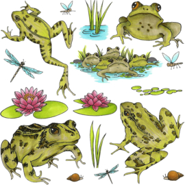 Kikkers / Frogs - dieren stempels 16 delige set  - Verpakking 15 x 20 centimeter