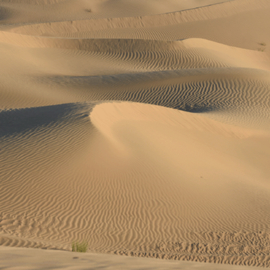 California 16 snap shots / Death Valley - dubbelzijdig papier 30.5 x 30.5 cm