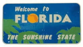 Welcome to Florida - the paper house die cuts - 8x5 cm