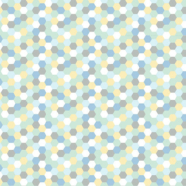 Scrapbook Papier Baby Jongen – 2x6=12 Vellen 6x6 inch Pastel