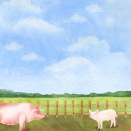 Varkens /  Pigs - watercolor - 30.5x30.5 cm - scrapbookpapier