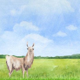 Lama's -  watercolor - 30.5x30.5 cm - scrapbookpapier