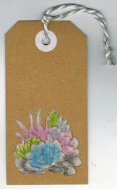 Cactussen & Succulenten Stempelset (10x14cm) - Creatief Kaarten Maken