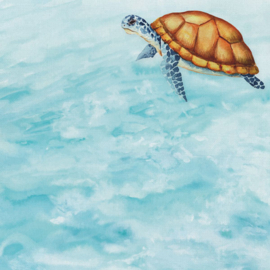 Zeeschildpad / Sea Turtle - dubbelzijdig scrapbook papier 30.5 x 30.5 cm