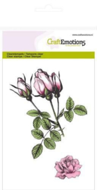 Botanische rozenknoppen / thema stempels / A6 formaat