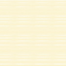 Scrapbook Papier Baby Jongen – 2x6=12 Vellen 6x6 inch Pastel