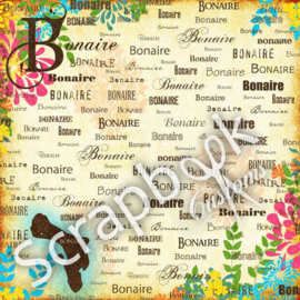 Bonaire - Paradise - Enkelzijdig Bedrukt Scrapbookpapier 12x12 inch