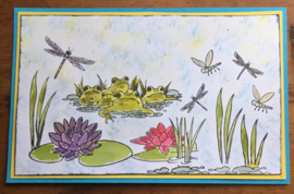 Kikkers / Frogs - dieren stempels 16 delige set  - Verpakking 15 x 20 centimeter
