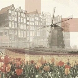 Windmolen tulpen en scrapbook nl Amsterdam scrapbook papier collage