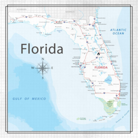 Florida - Adventure Map - scrapbooking papier 12x12 inch