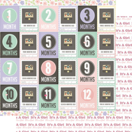 Baby Girl  - The first 12 months - dubbelzijdig scrapbookpapier - 30.5 x 30.5 cm