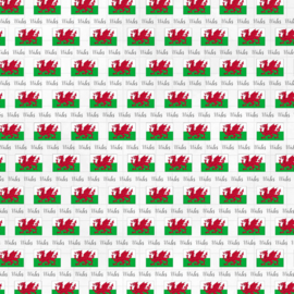 Wales Adventure Border – Dubbelzijdig Scrapbookpapier 30,5 x 30,5 cm