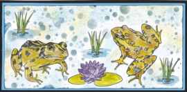 Kikkers / Frogs - dieren stempels 16 delige set  - Verpakking 15 x 20 centimeter