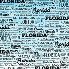 Florida - Postage Map - dubbelzijdig - 12x12 Papier - scrapbook customs