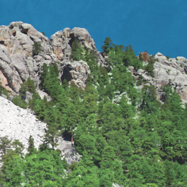 South Dakota Scrapbookpapier – USA Thema met Mount Rushmore & Prairie