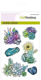 Cactussen & Succulenten Stempelset (10x14cm) - Creatief Kaarten Maken