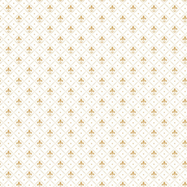 Louisiana Scrapbookpapier – New Orleans, Muziek en Magnolia’s (12 vellen)