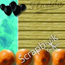 Thema Florida - Orange State - scrapbook papier 12x12 inch