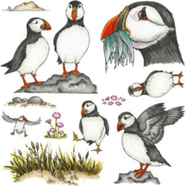 Papegaaiduikers / Puffins  - clear stempelset - 15 x 20 cm