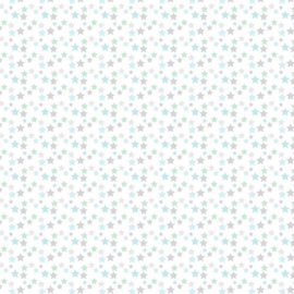 Scrapbook Papier Baby Jongen – 2x6=12 Vellen 6x6 inch Pastel