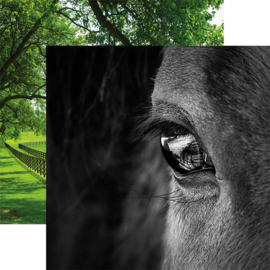 paarden scrapbooking materiaal