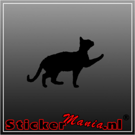 Kat 8 sticker